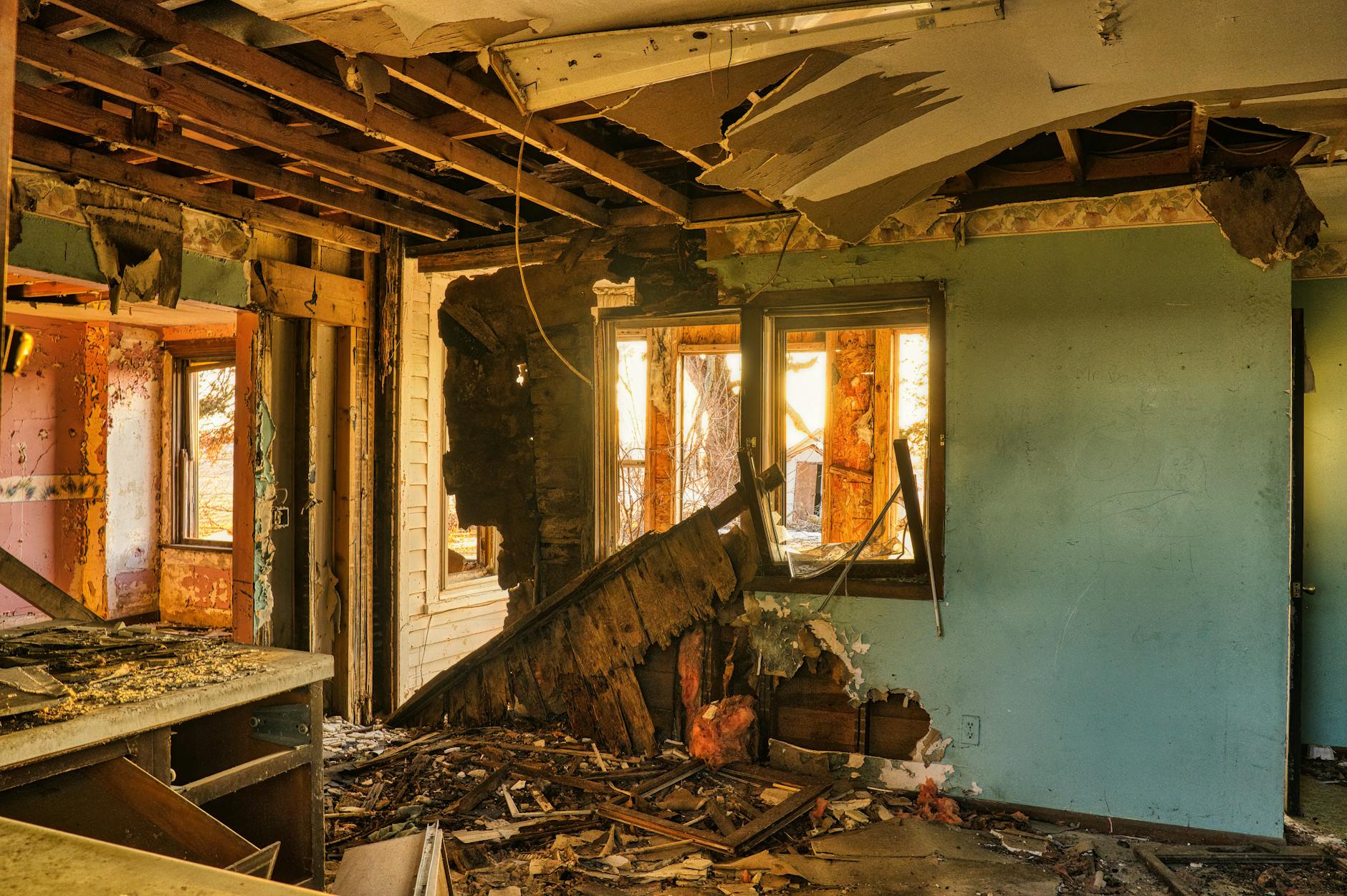 Jacksonville's Leading Mold Removal & Remediation Company — Jacksonville, FL