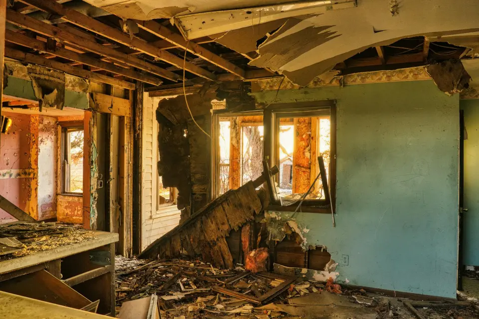 The Royal Mold Removal Story: Dedication to a Mold-Free Jacksonville